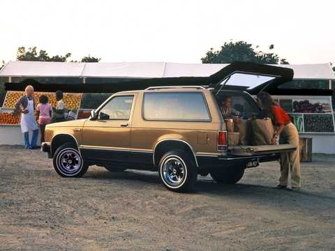 Back/Side of Chevrolet T-10 Blazer 2.8 V6 TBI 4WD 126hp, 1986 