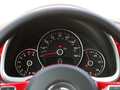 Volkswagen Beetle (NA)