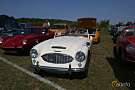 Austin-Healey 100-6