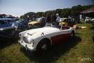 Austin-Healey 100-6