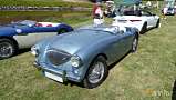 Austin-Healey 100