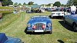 Austin-Healey 100