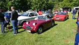 Austin-Healey Sprite