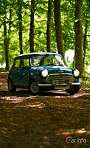 Austin Mini