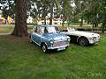 Austin Mini