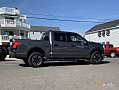 Ford F-Series