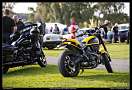 Ducati Scrambler