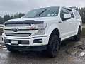 Ford F-Series