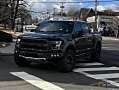 Ford F-Series