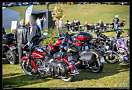 Harley-Davidson Softtail