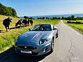 Jaguar XK