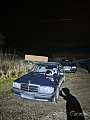 Mercedes-Benz W201