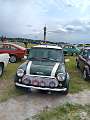 Rover Mini
