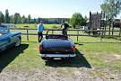 Sunbeam Tiger