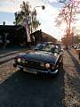Triumph Stag