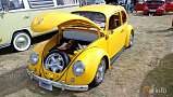 Volkswagen Type 1