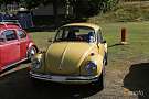 Volkswagen Type 1