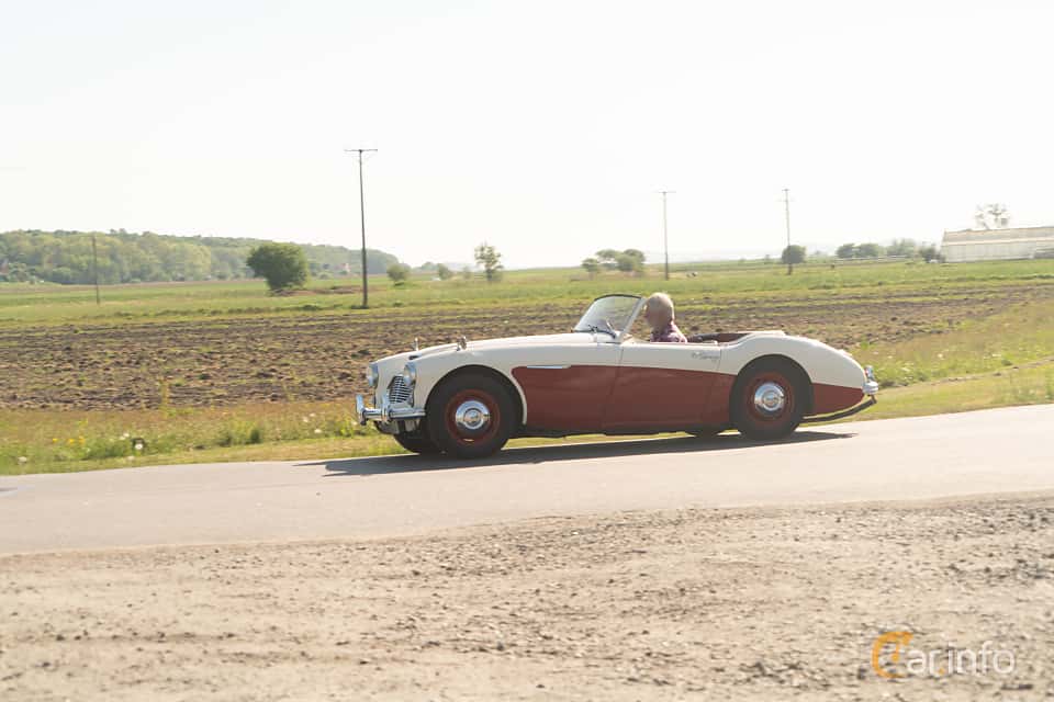 Austin-Healey 100-6