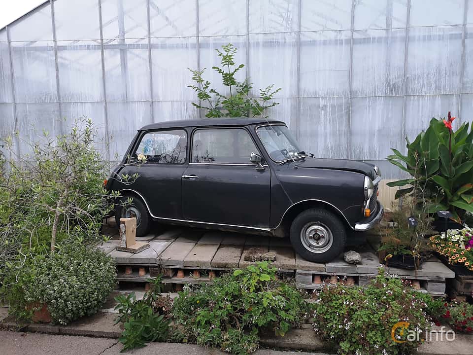Leyland Mini
