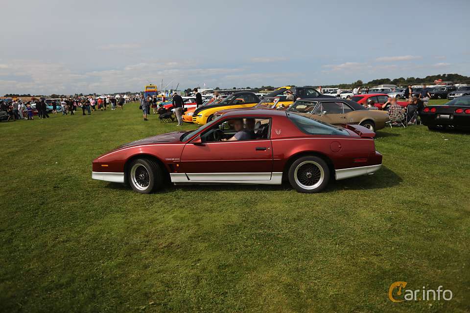 Pontiac Firebird Base 5.0 V8 Automatic, 4-trinn, 152hk, 1984