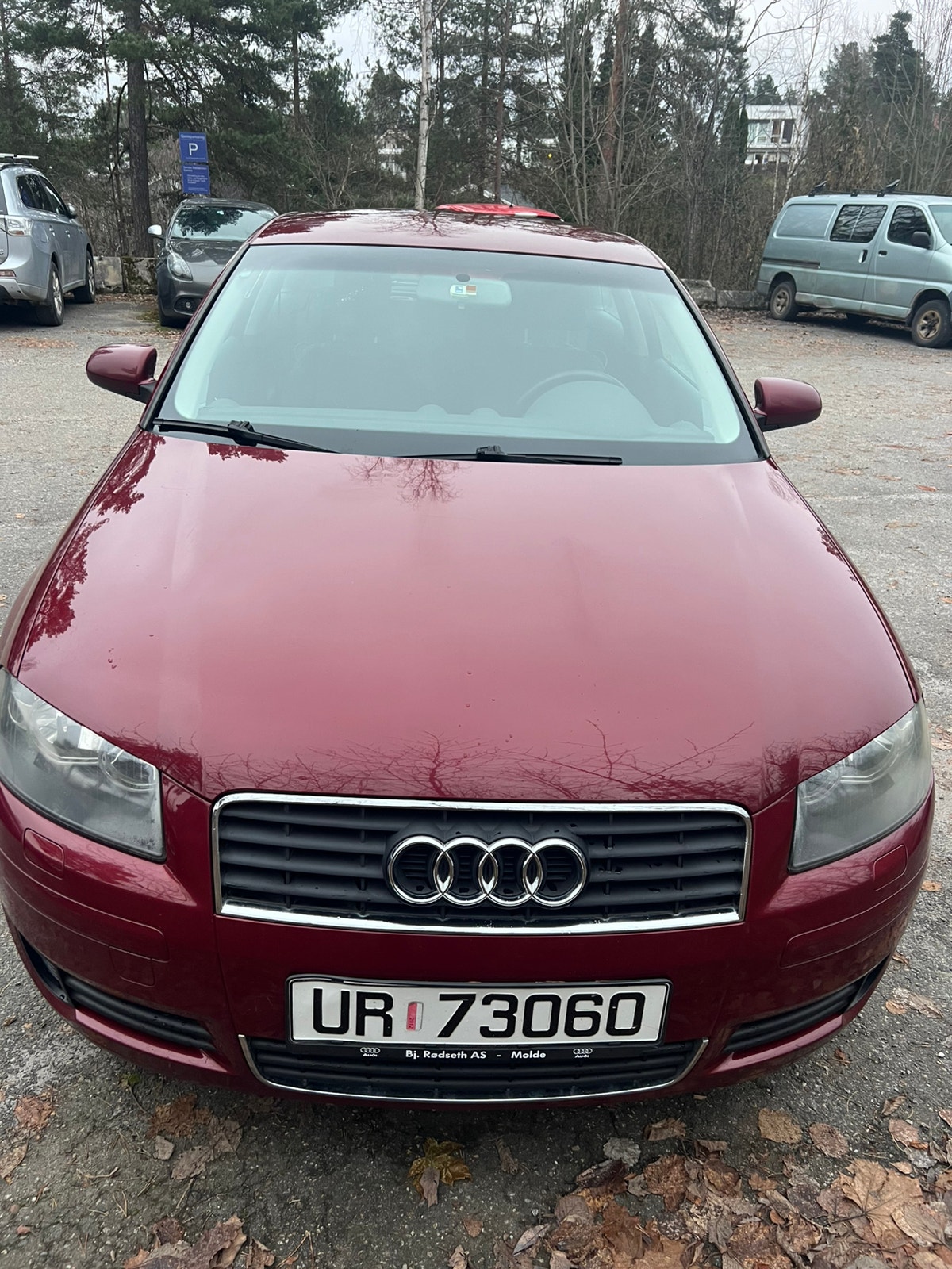 Audi A3 1.6 8v Manual, 5-trins, 102ps, 2005