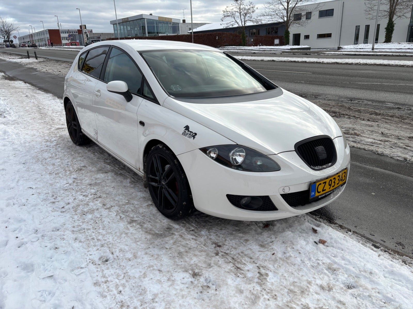 SEAT Leon 1.9 TDI Manuell, 105hk, 2009