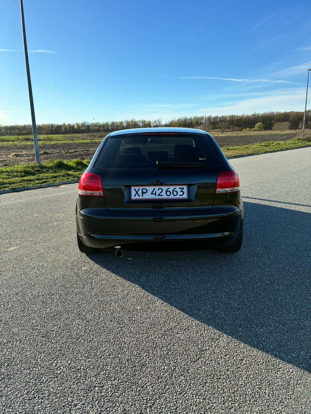 Audi A3 1.6 8v Manual, 5-trins, 102ps, 2006