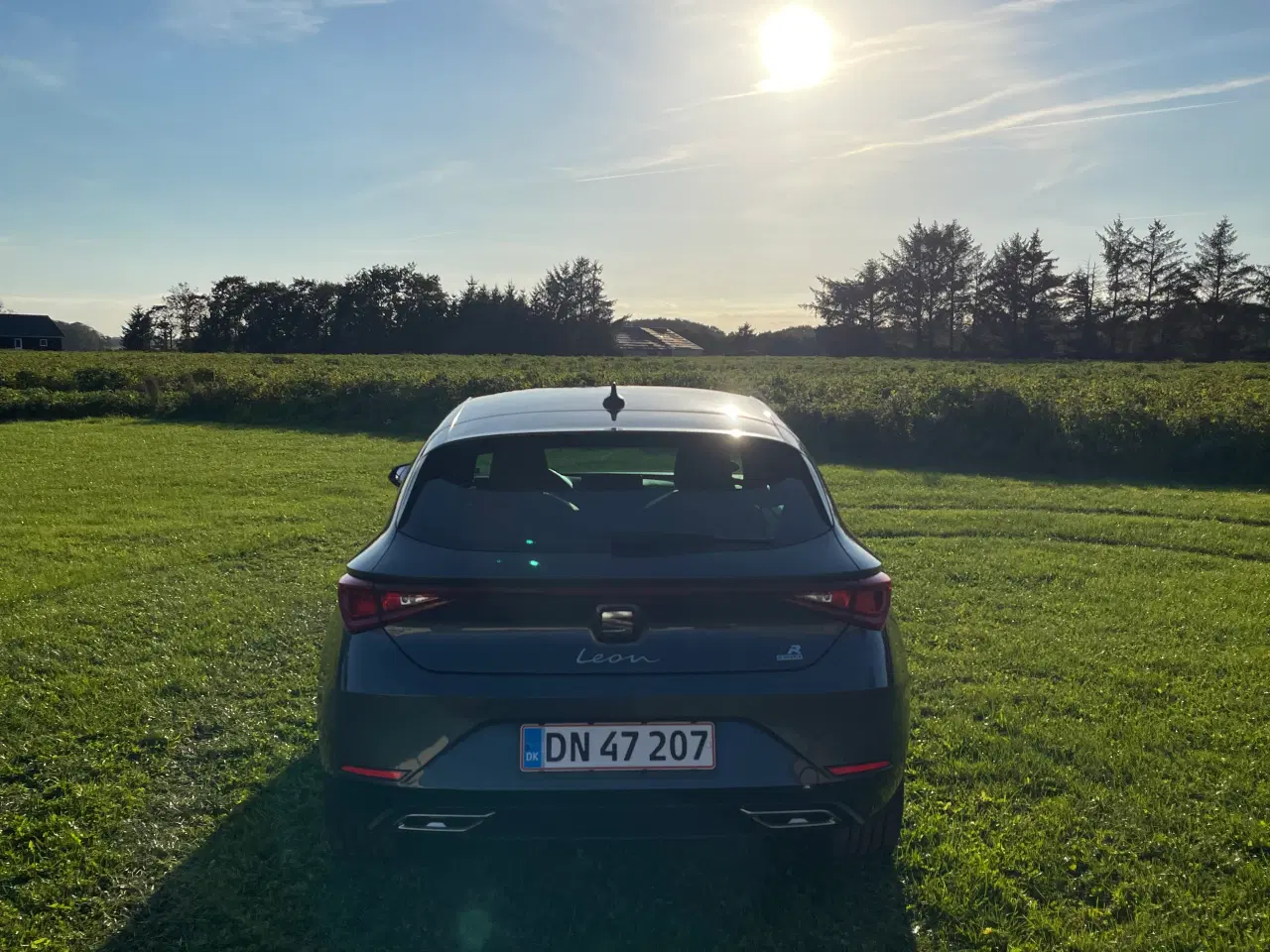 SEAT León e-Hybrid DSG Sequential, 204hp, 2021