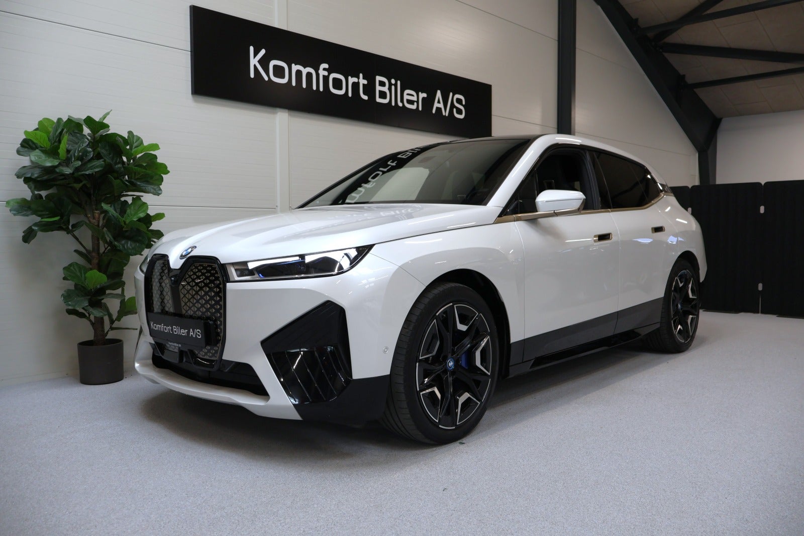 BMW iX xDrive40, 326hp, 2022