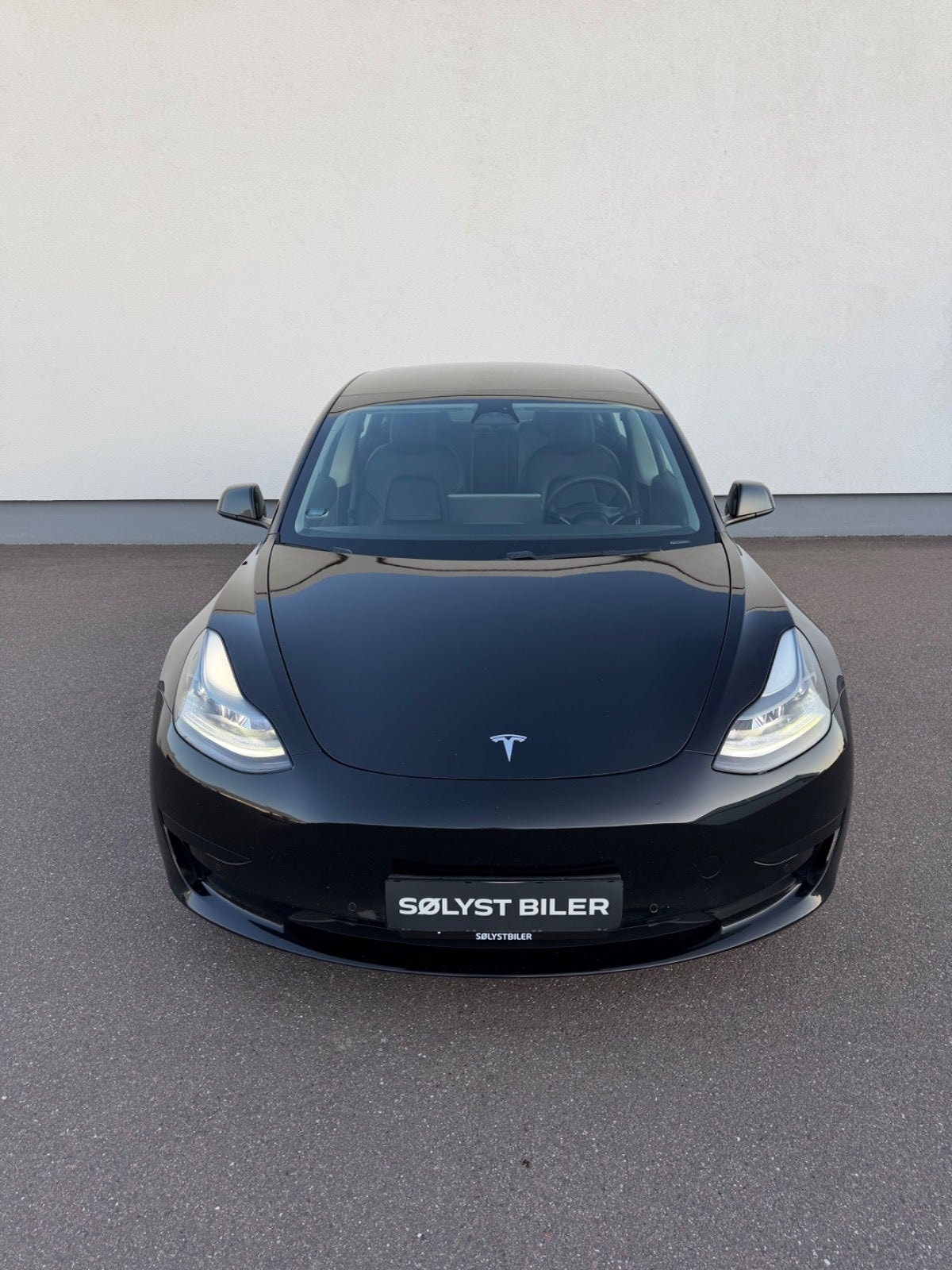 Tesla Model 3 Standard Range Plus, 325ps, 2021