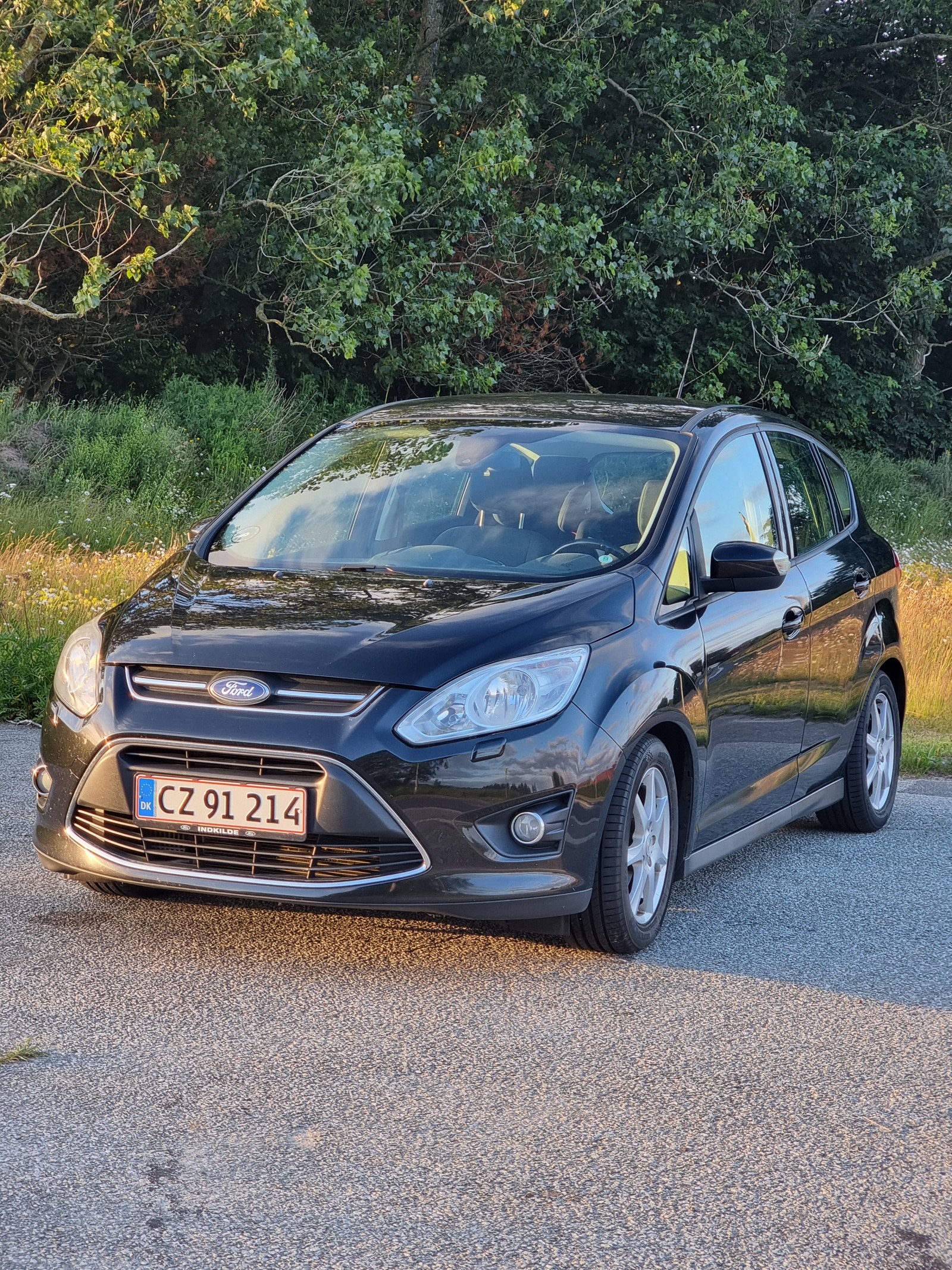 Ford C-Max 1.0 EcoBoost Manual, 100hp, 2013