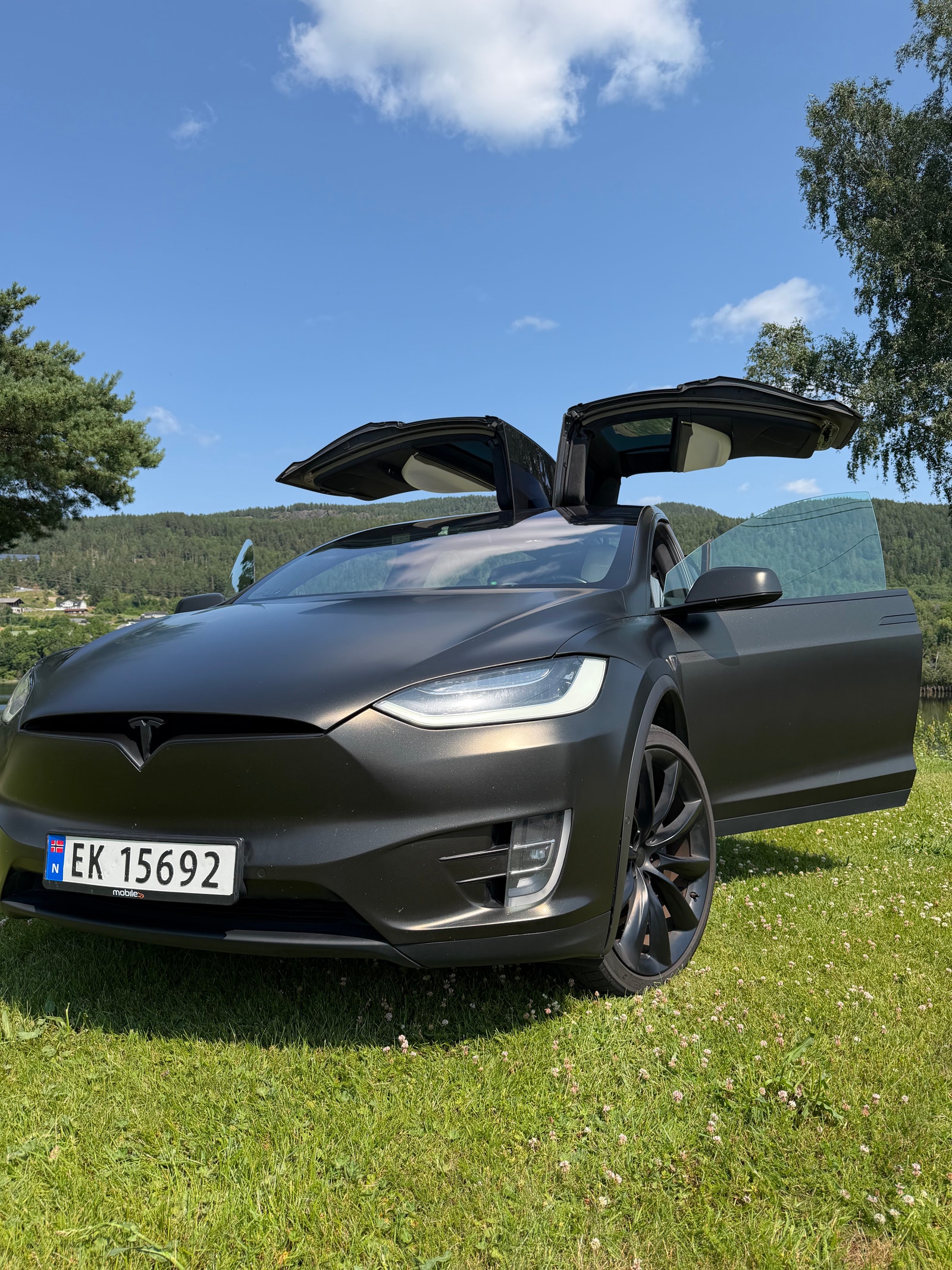 Tesla Model X 90D, 423ps, 2016