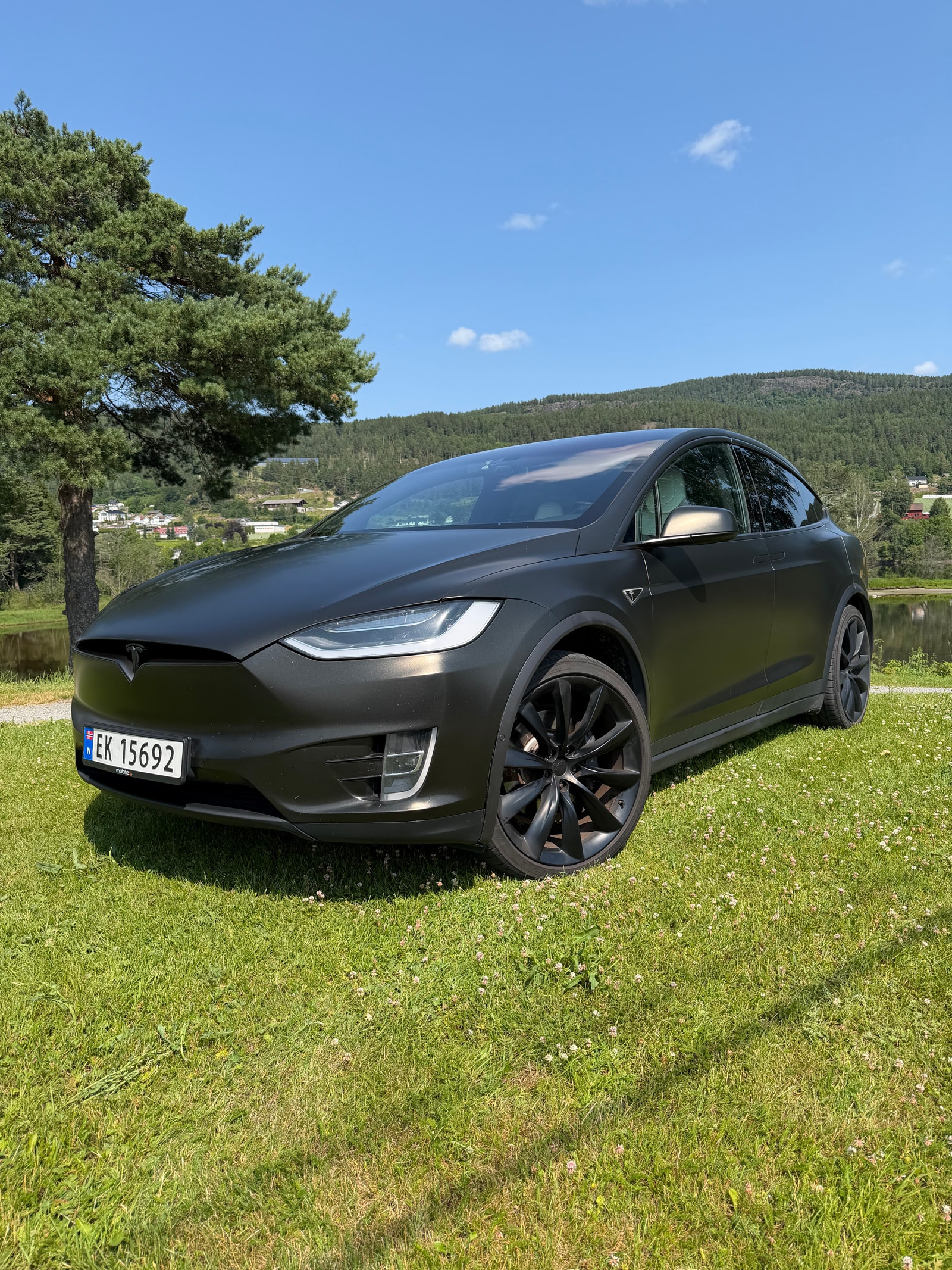 Tesla Model X 90D, 423ps, 2016