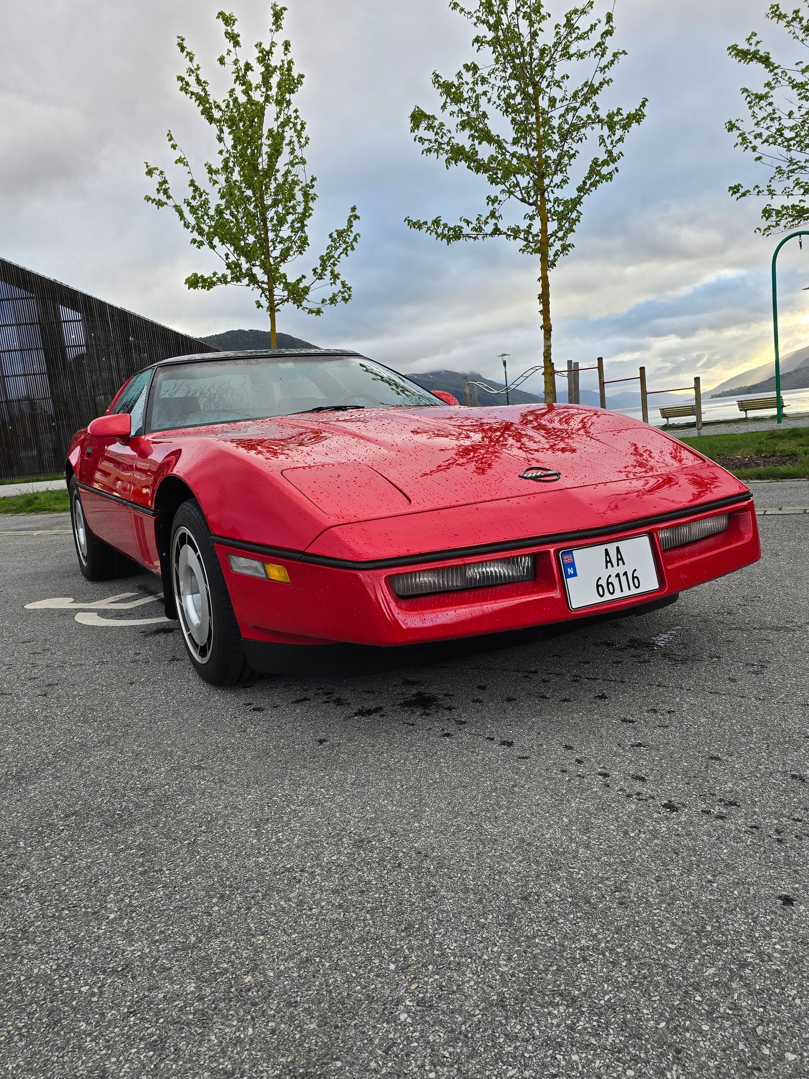 Chevrolet Corvette 5.7 V8 TPI Automatic, 4-trins, 234ps, 1985