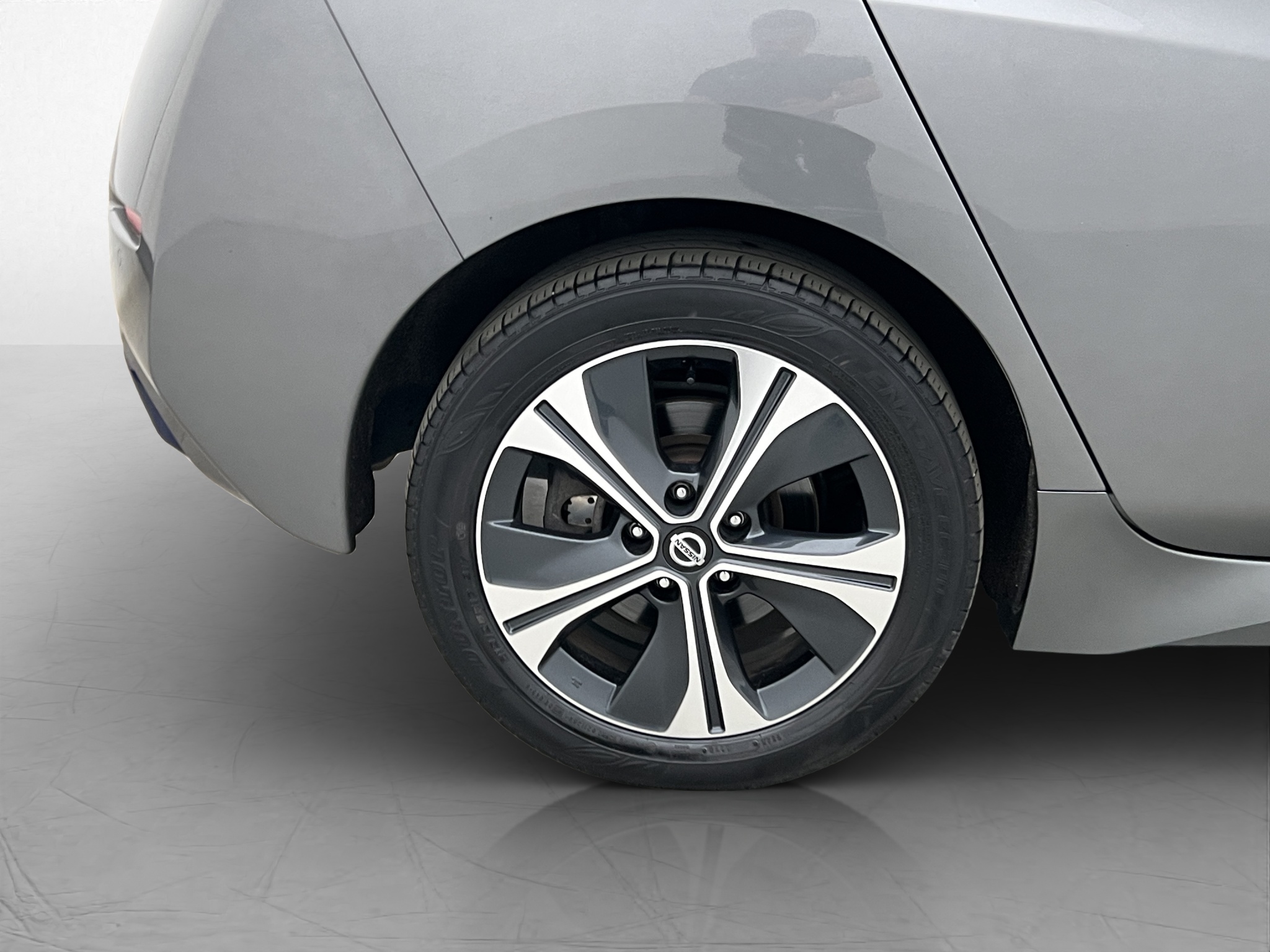 Nissan Leaf e+, 217hp, 2019