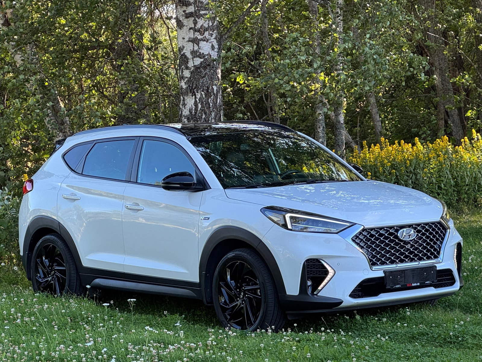 Hyundai Tucson 1.6 CRDi 4WD DCT, 136hp, 2020