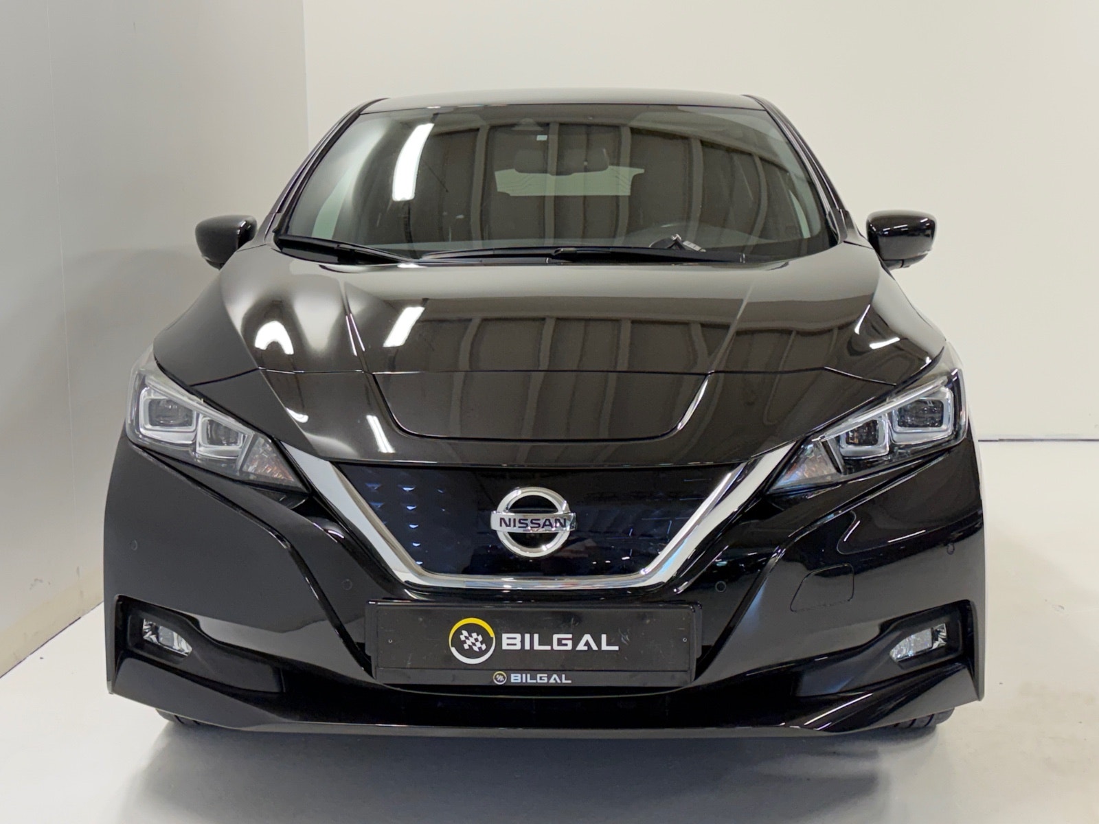 Nissan Leaf e+, 217hp, 2021