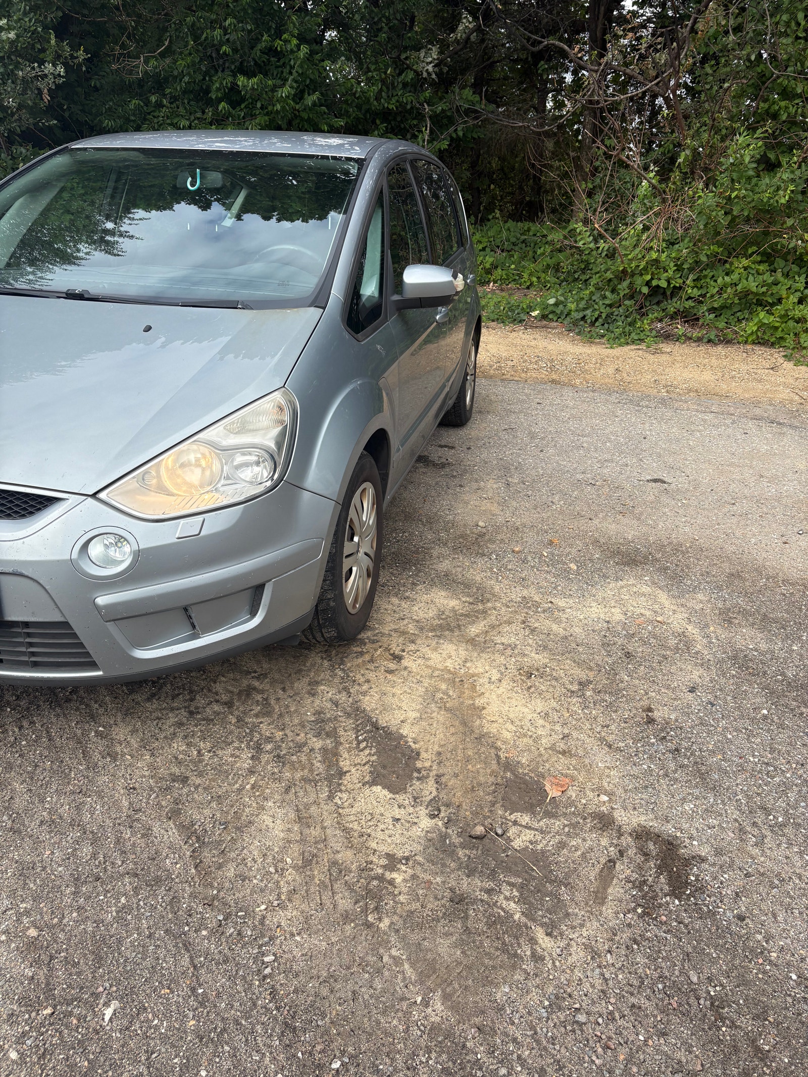 Ford S-Max 2.0 Manuell, 145hk, 2008
