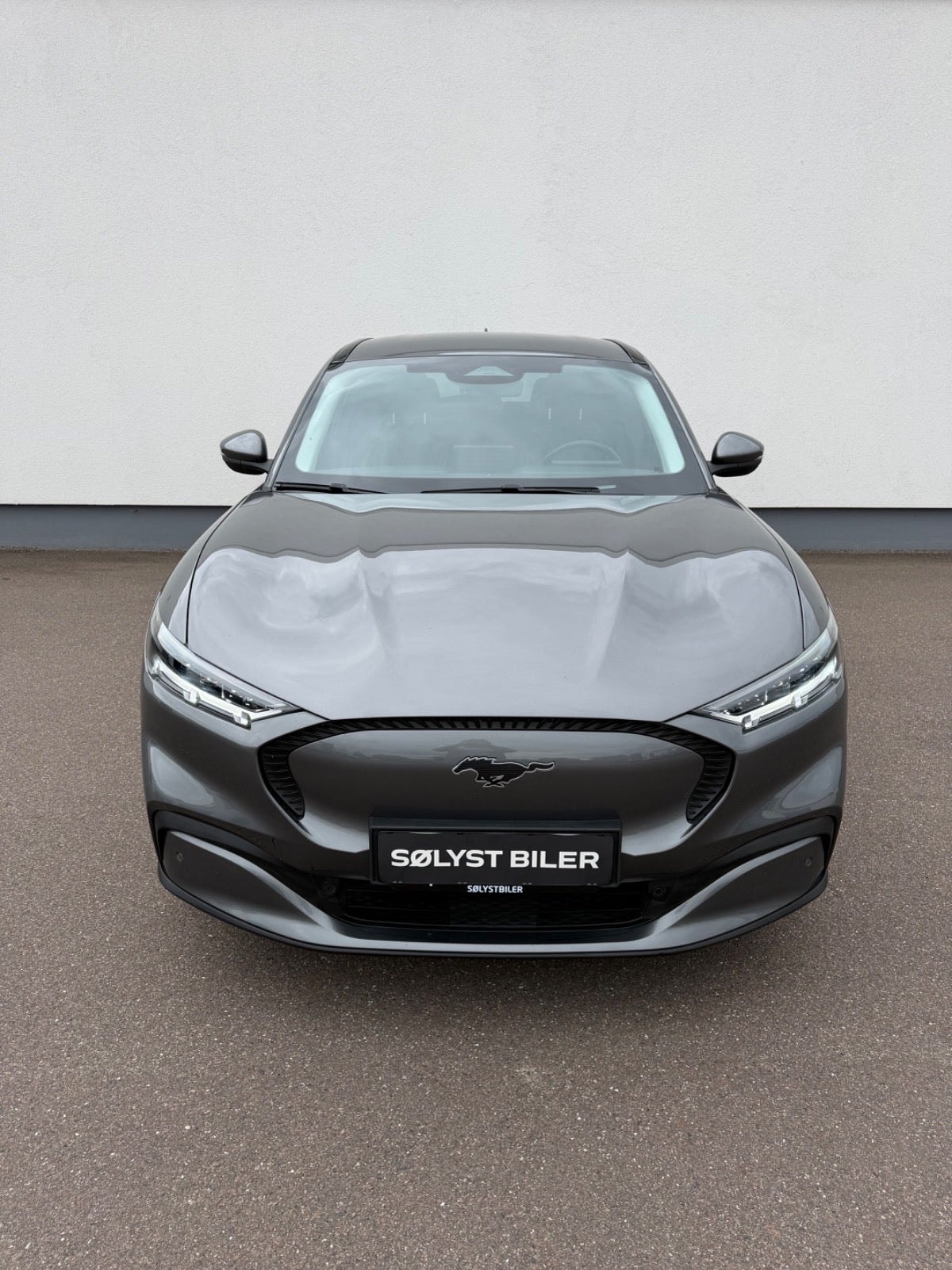 Ford Mustang Mach-E Standard Range, 269hp, 2021
