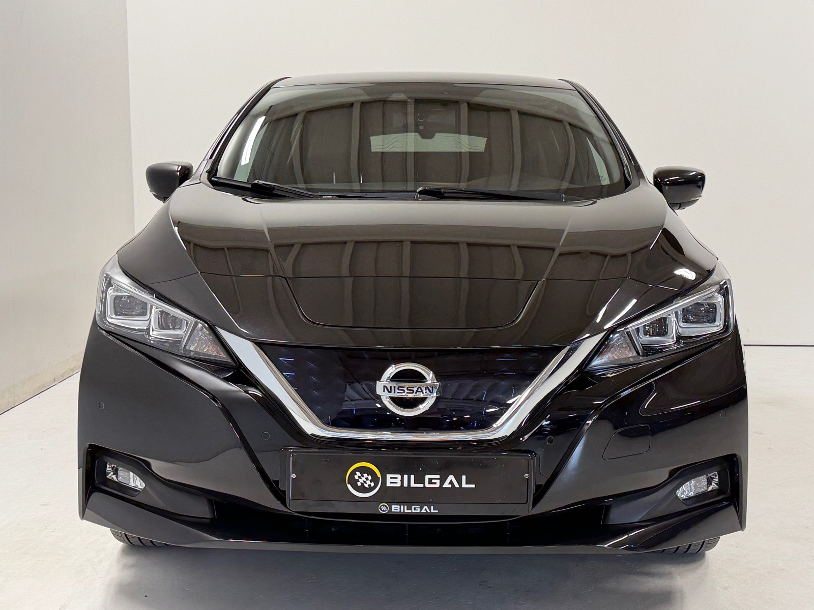 Nissan Leaf e+, 217hp, 2021
