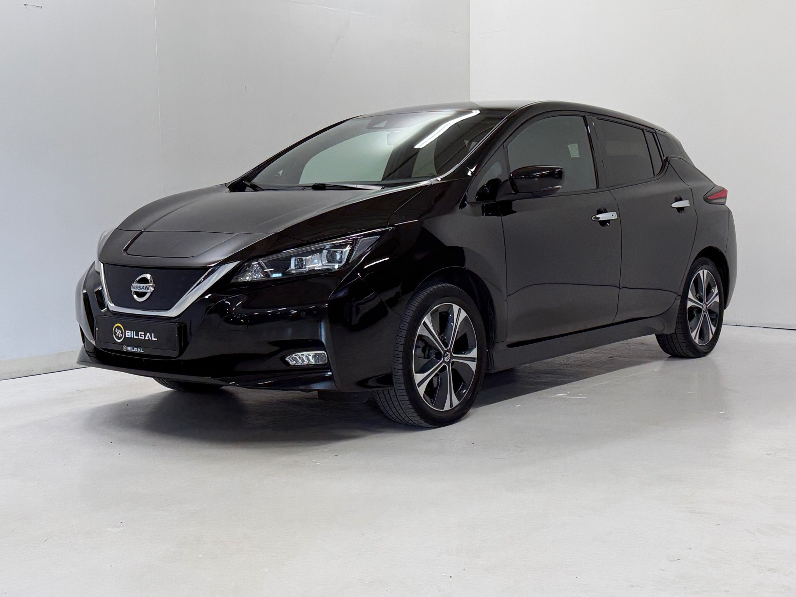 Nissan Leaf e+, 217hp, 2021