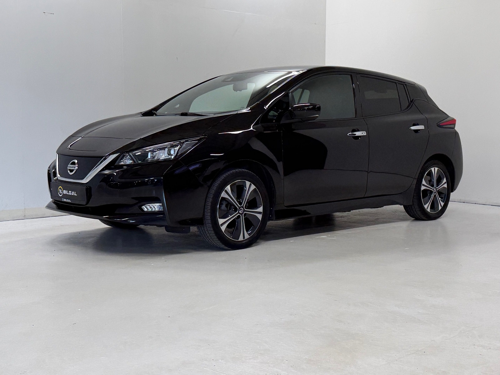 Nissan Leaf e+, 217hp, 2021