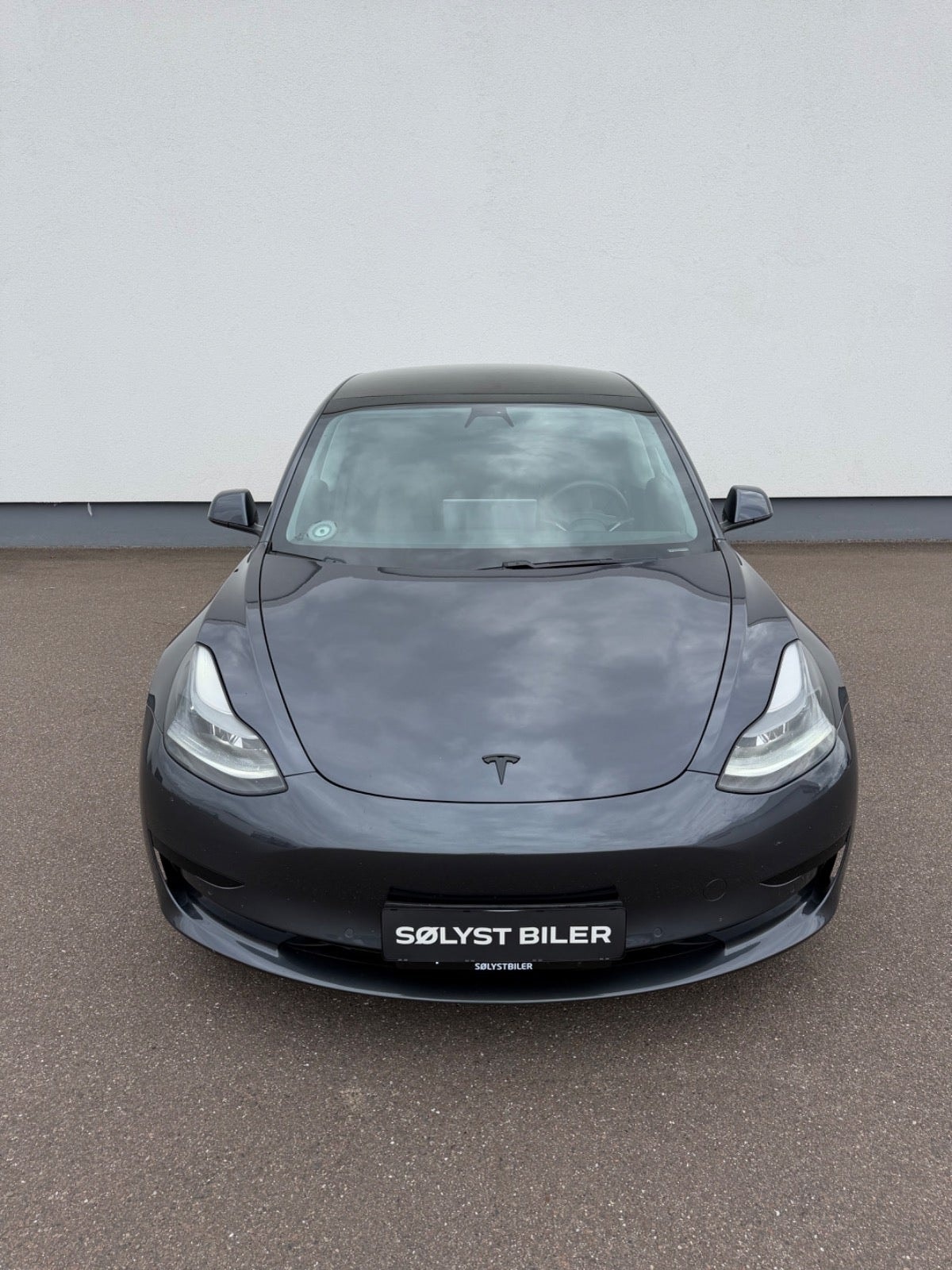 Tesla Model 3 Standard Range Plus, 325ps, 2021