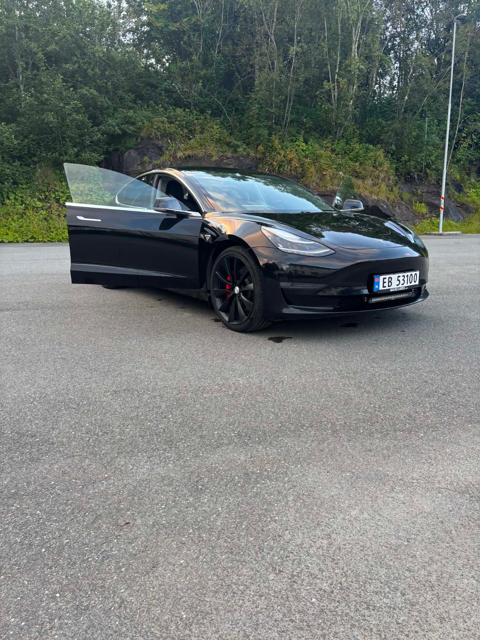 Tesla Model 3 Performance, 513ps, 2020