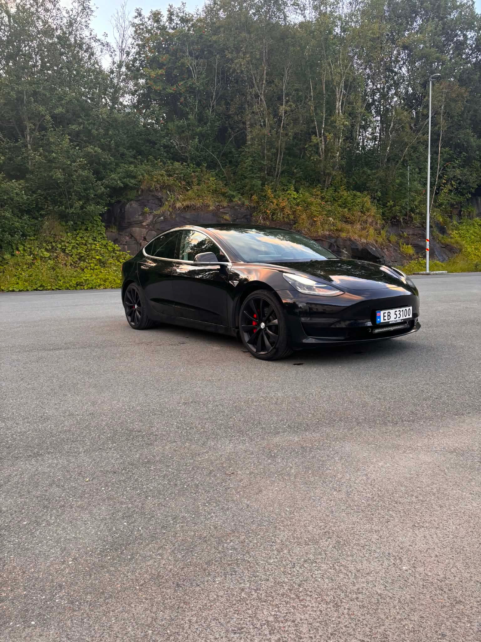 Tesla Model 3 Performance, 513ps, 2020