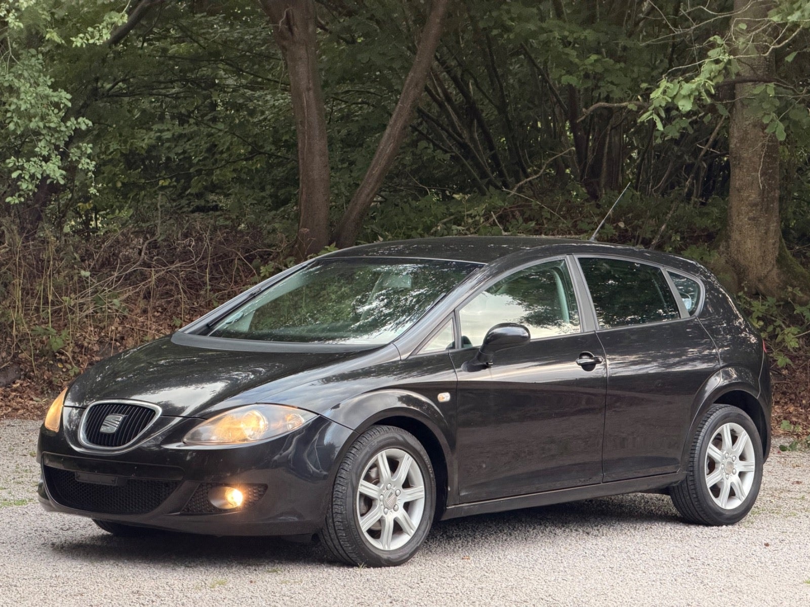 SEAT León 1.9 TDI Automatic, 105hp, 2008