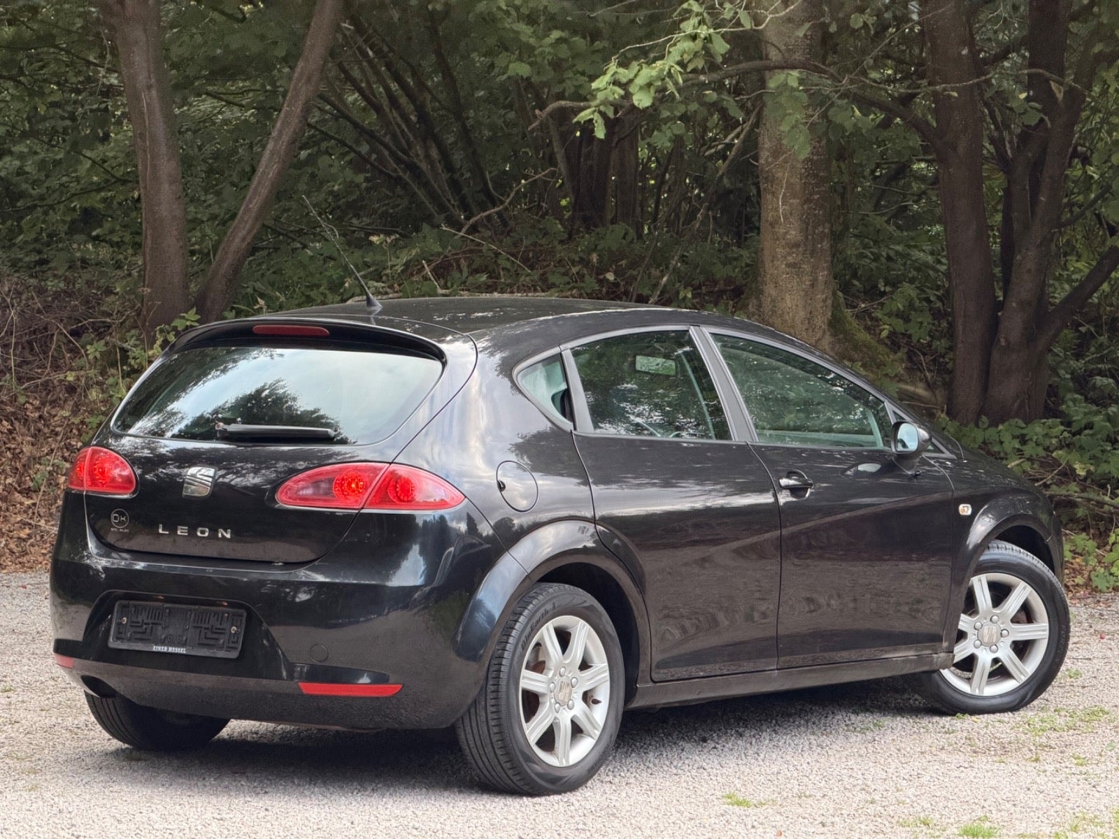 SEAT León 1.9 TDI Automatic, 105hp, 2008