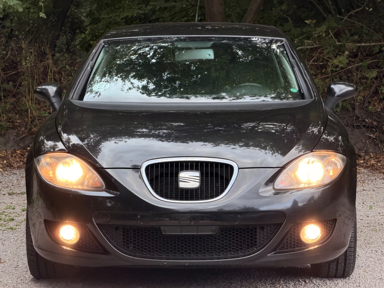SEAT León 1.9 TDI Automatic, 105hp, 2008