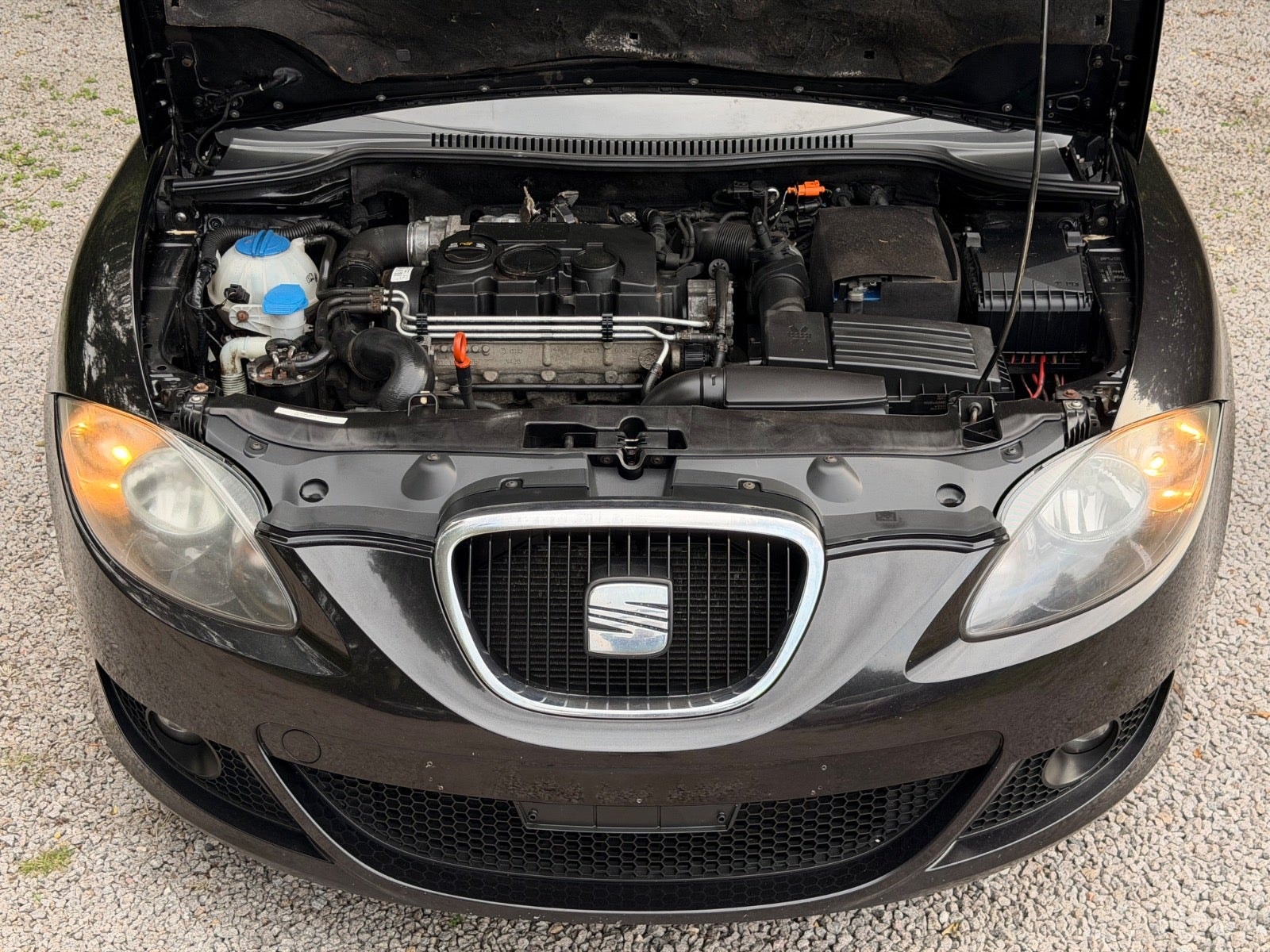 SEAT León 1.9 TDI Automatic, 105hp, 2008