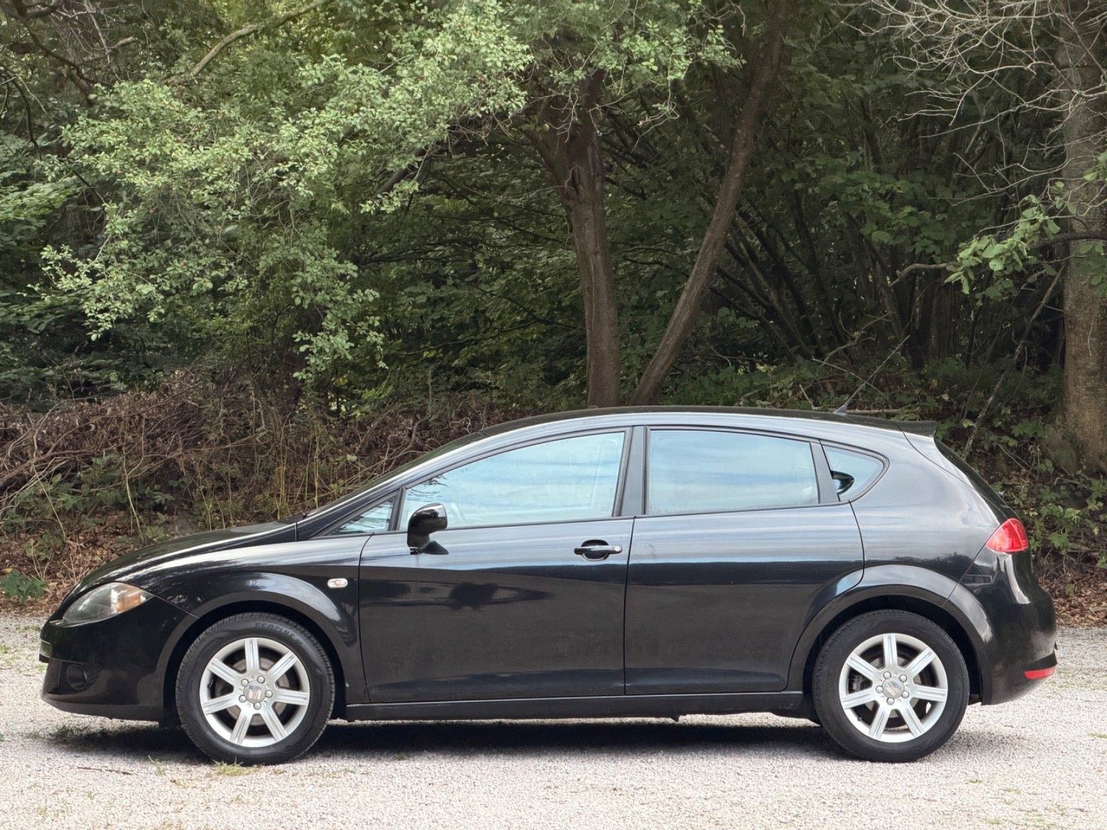 SEAT León 1.9 TDI Automatic, 105hp, 2008
